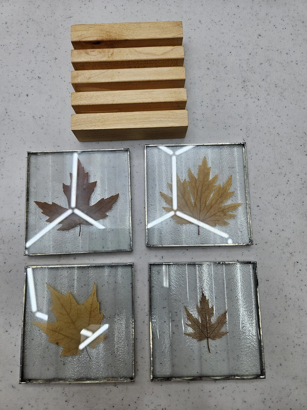 Vintage Set of 4 Coasters Leaves Preserved in Lucite Fall Autumn 4
